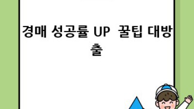 춘천에서 득템?! 중고차 경매 완전정복! 🚗💨